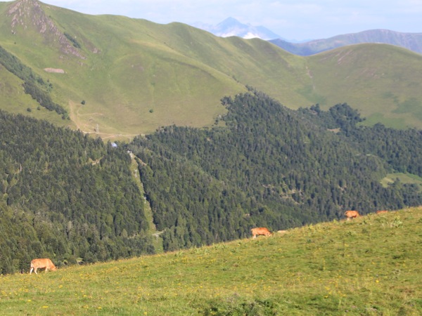 les pyrénées