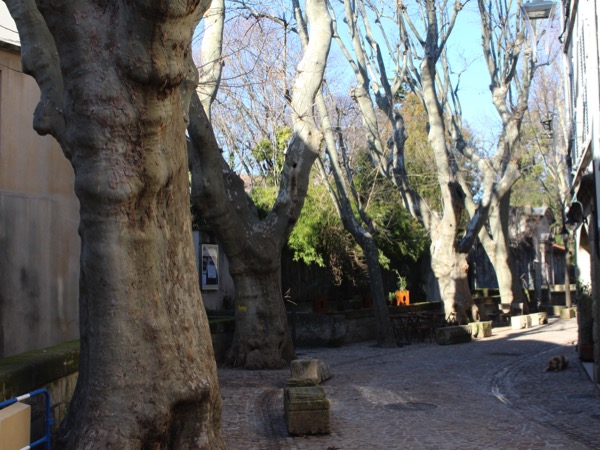 rue teinturiers Avignon