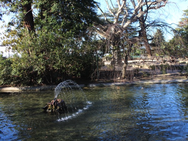 jardin des doms Avignon