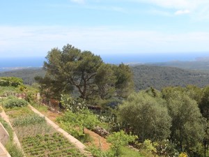 Diapositive16 - copie