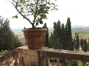 villa d'este