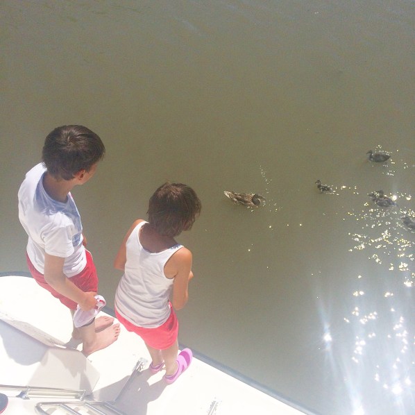 les enfants, les canards et le canal du midi