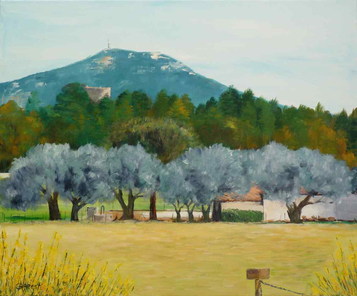 Visuel-3-Les-oliviers-Graziella-Agresti