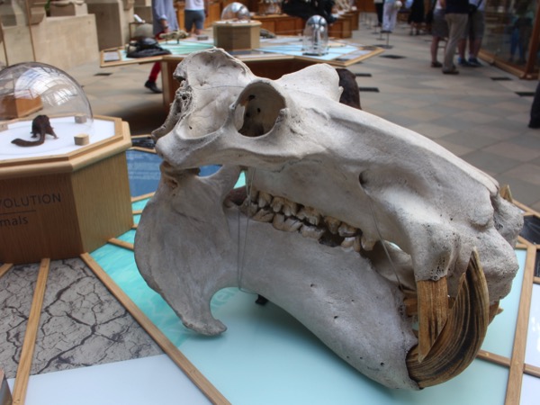 Diapositive46 - copie