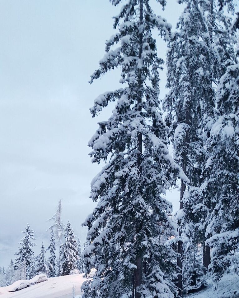 6XPtW0q5bH2Kwf5o9BCawykuhPhlSIGCiZ1-l3UnIz8,xkZt6xyhBUegjEJzqkGCvDZ6JksOLfAKsEBIWP56FtI