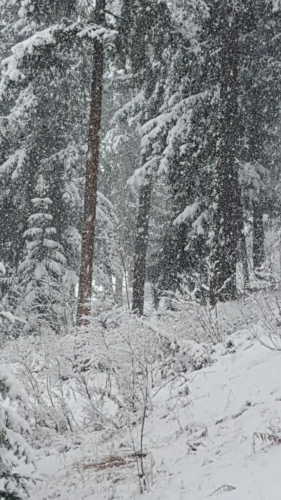 9GNTpBitkdAQVPXcaVLZU3SAzgSshQDT2ALHyt4rlWA,dOgbx1S8Ede4QlDTIFKuXvzlDu28810w6ekuyrb_Xtg