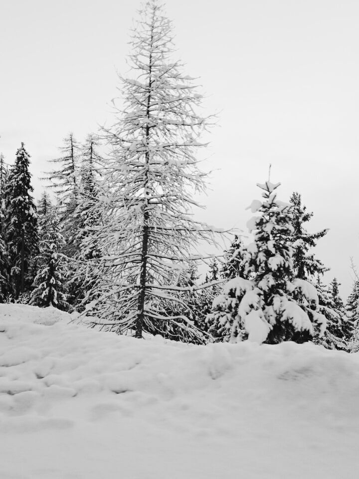 HxYpymB_lk5gVi0SbwBvrCbOjmxiIMcnUiNwqNbGs2U