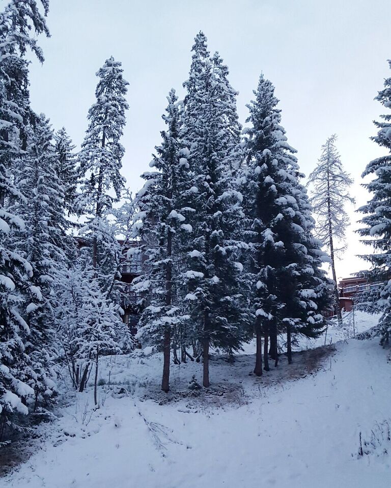 OBPb4TGuPtTWKe-zDjpLqOvFGRZFjYmLufBD7RIijcI,Fedze-B6PjJMnuA36rTqYNZOu0Tuw3tIqG3zZzOZVW4