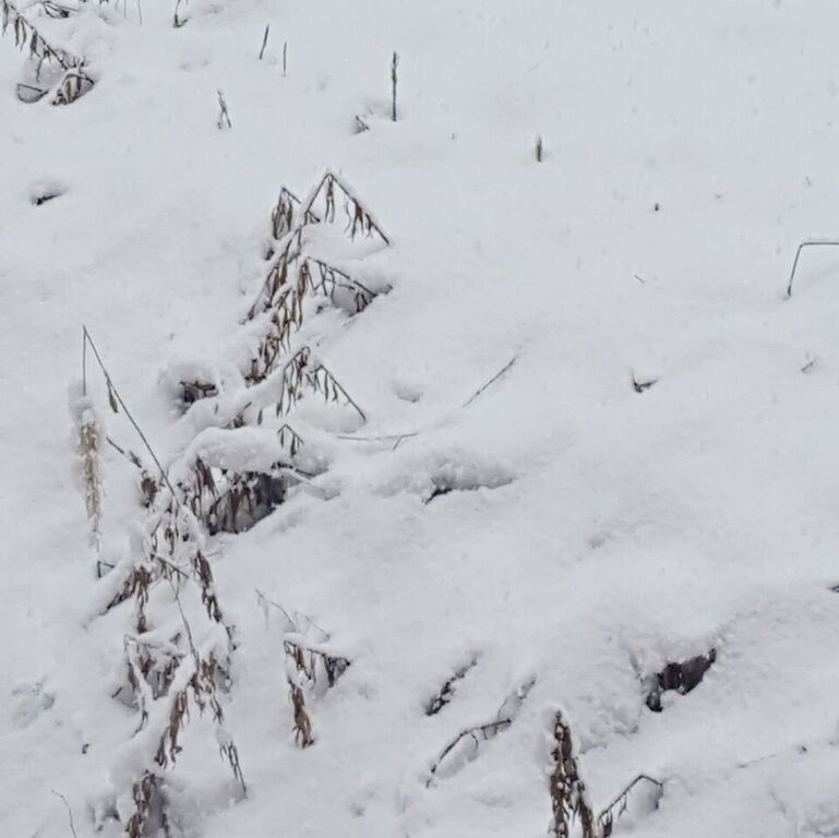 rzVhRxXnDWxEEQpzycIMF-5buK7r8ckRr6JSp882lRI