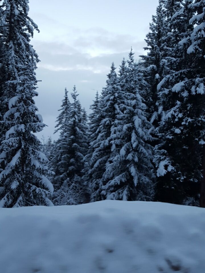 SYp3c3zGUGj2tAYVrZ13TzpOgZFWzC7EW_04QDgL_7Q