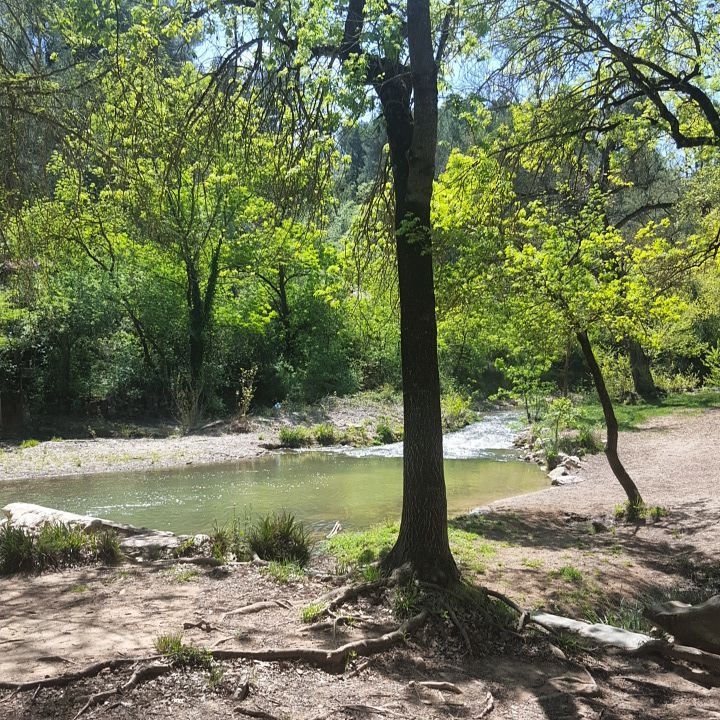 13043648_1718757538394081_4767861665103980776_n