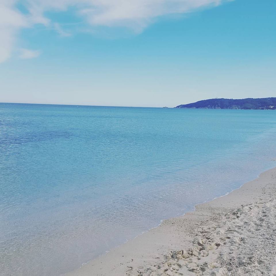 13087878_1721572548112580_1478510049577116164_n