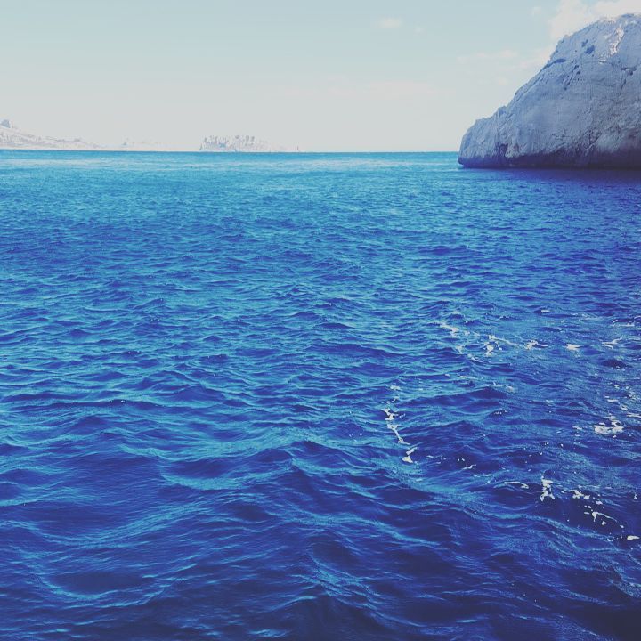 13239916_1734200843516417_6569119657746056933_n