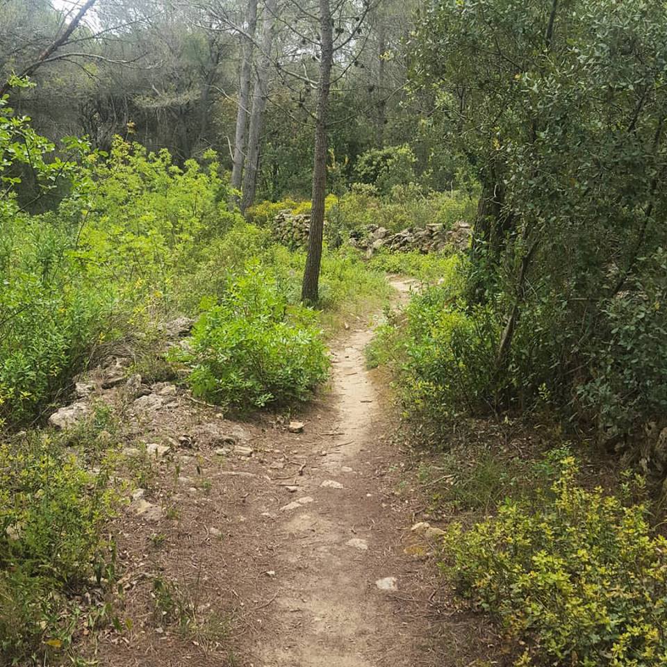 13241211_1733411443595357_7181660056206108171_n