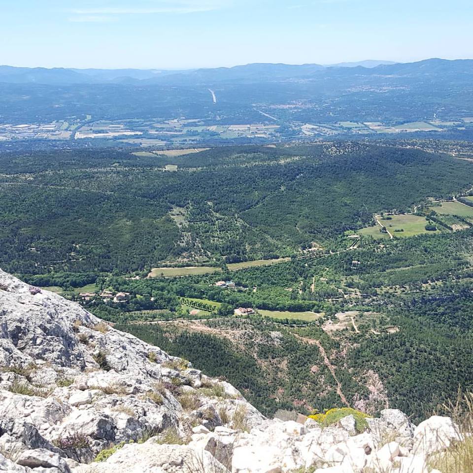 13241351_1734529333483568_7055536917166464449_n