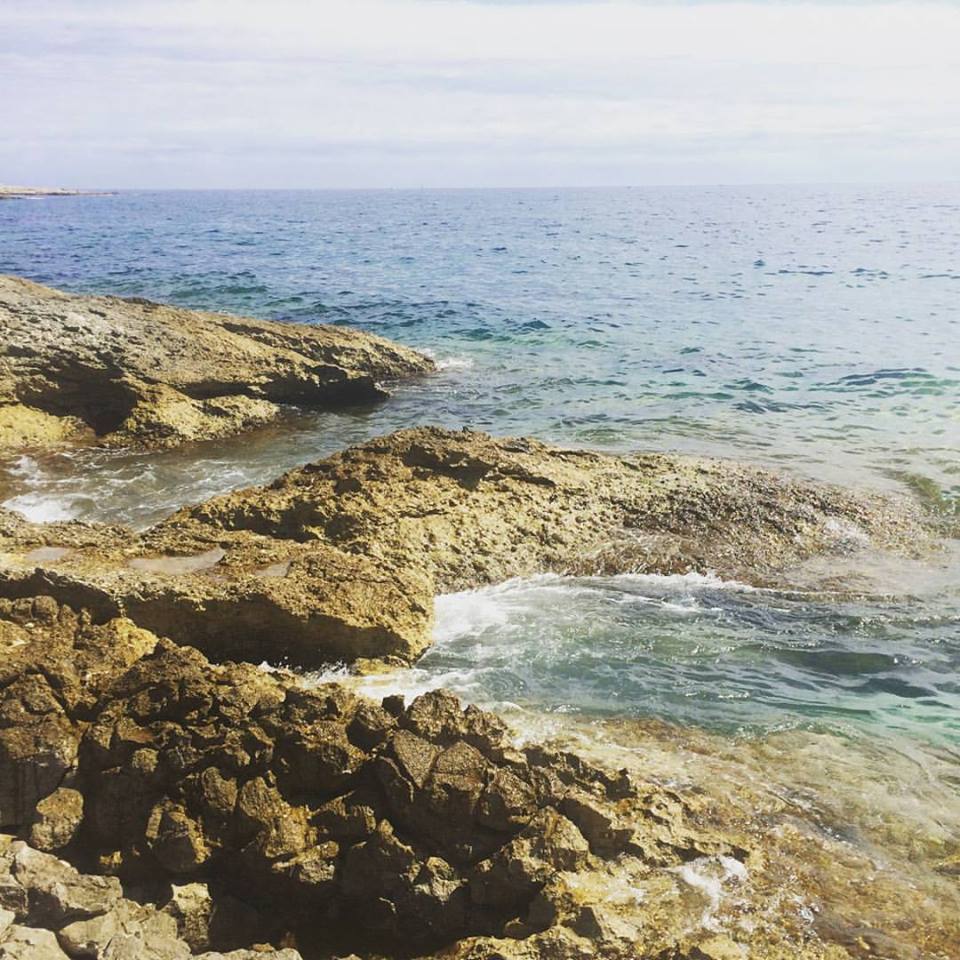 13423950_1743930195876815_6437272946956392845_n