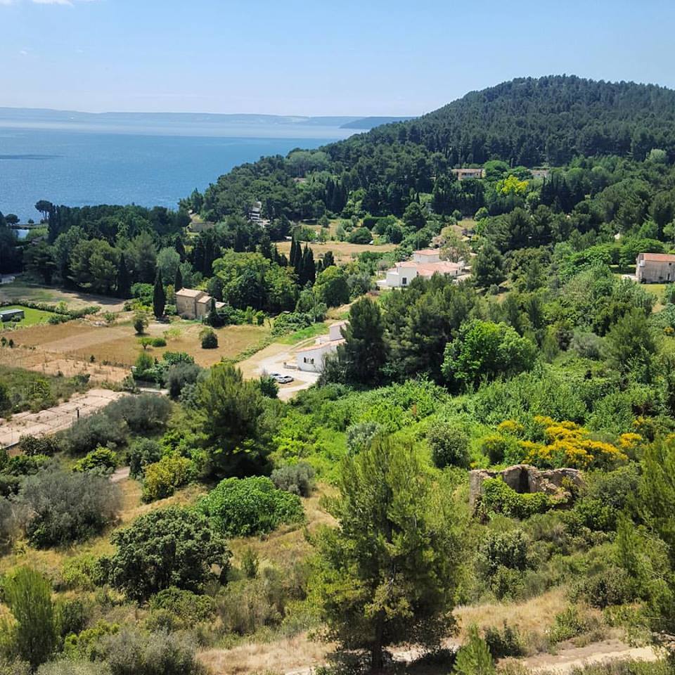 13466472_1745233532413148_6211574989426798523_n