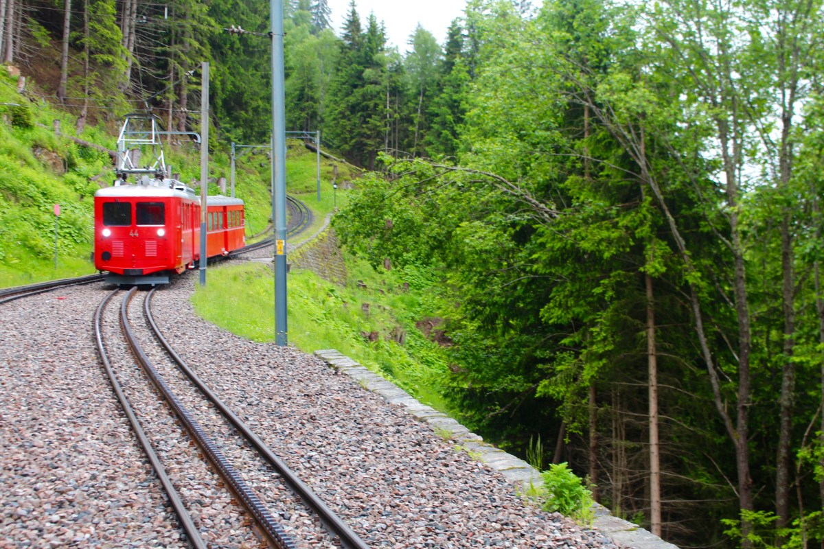 Train Montervers Chamonix 
