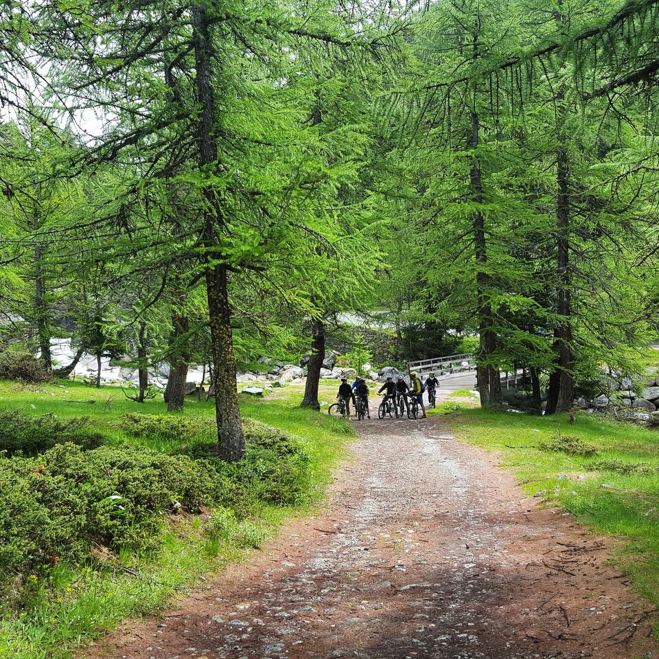 VTT Dans le Val Ferret Italie 