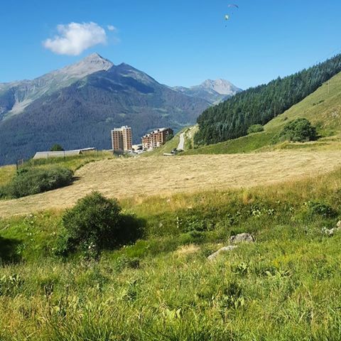 13873079_1763269493942885_9217275751230951515_n