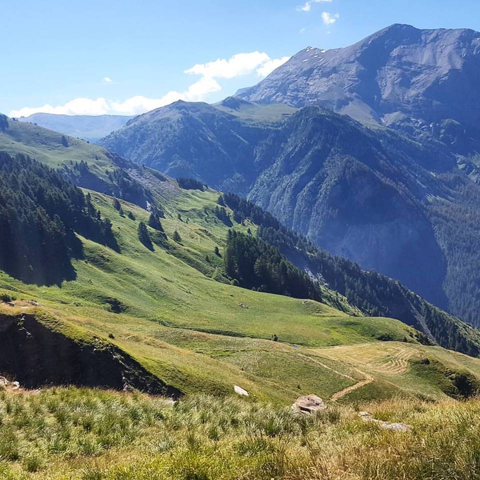 13886524_1762678657335302_7826325622301629084_n