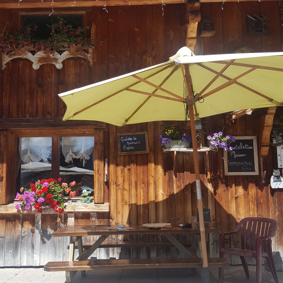 La grenouille du Marais Morzine