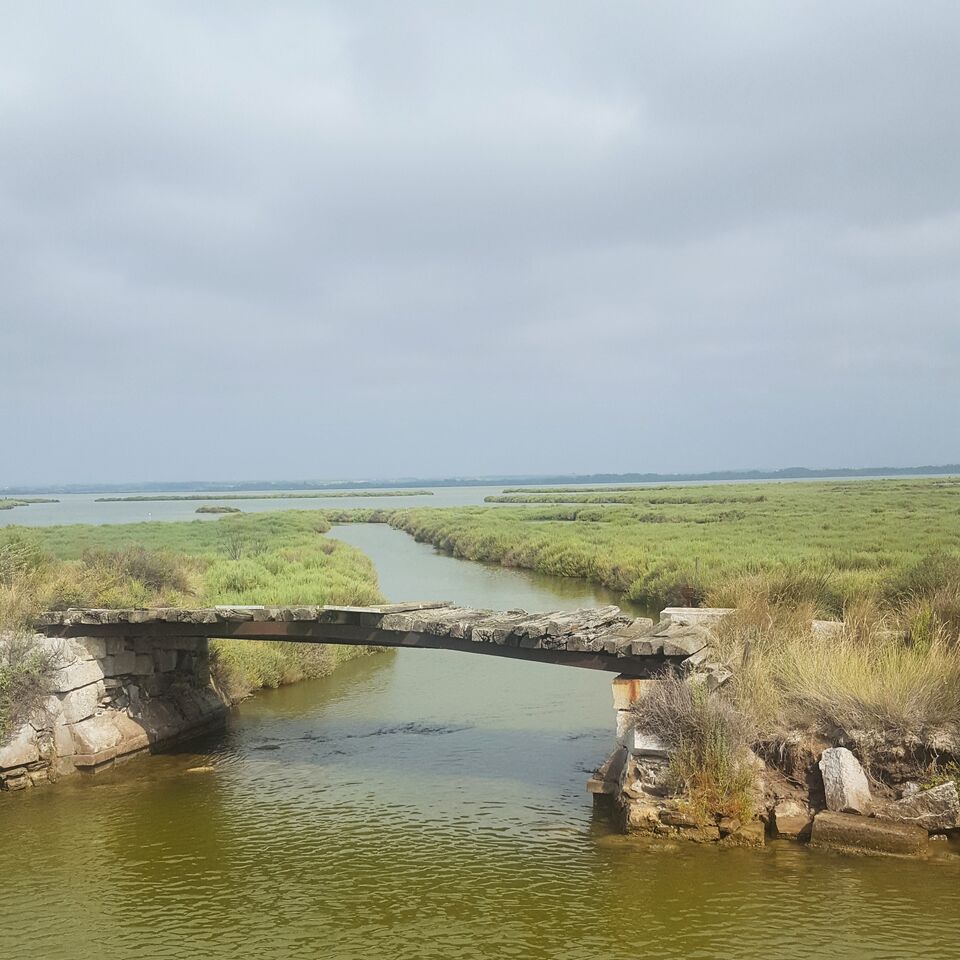 ceusHiasjxRHoWsSXnBVpZSvDLV9P2OQrbATaQ--EuI