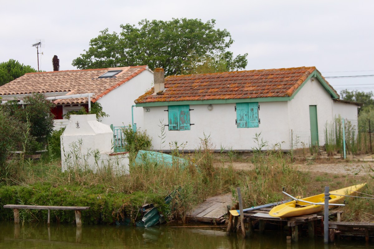 camargue