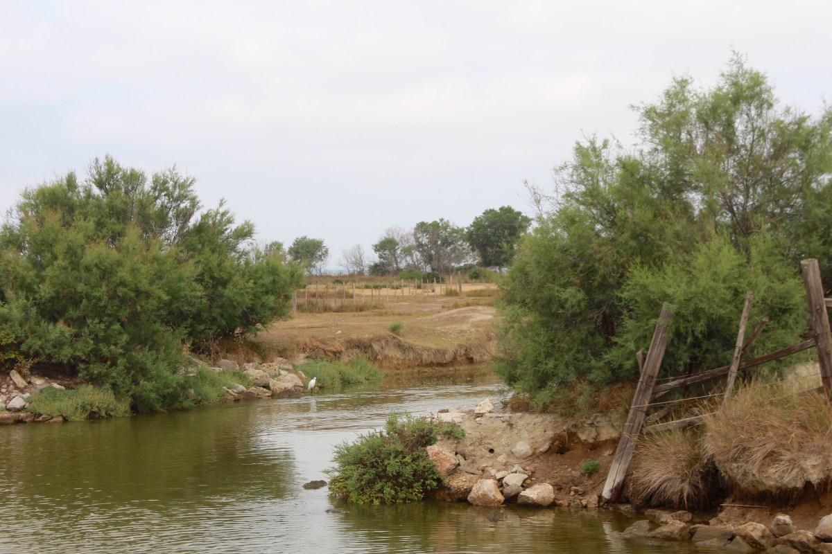 camargue croisière fluviaile