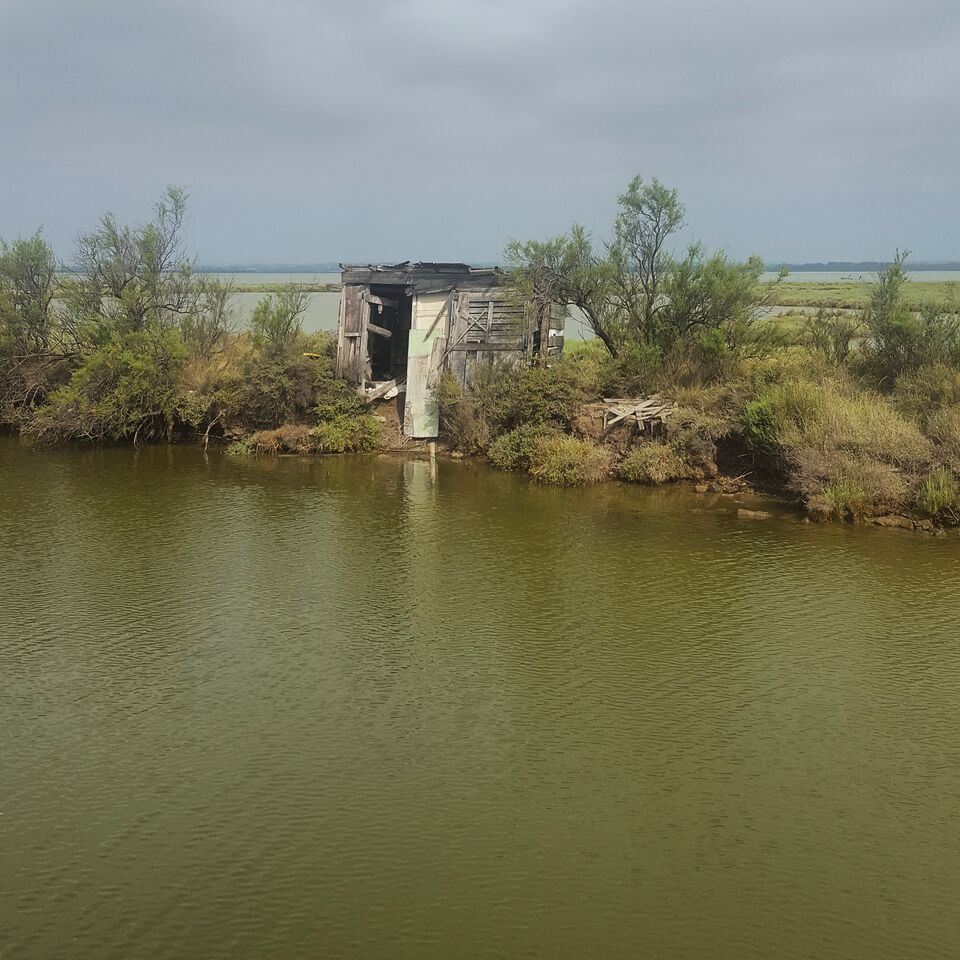 Camargue 