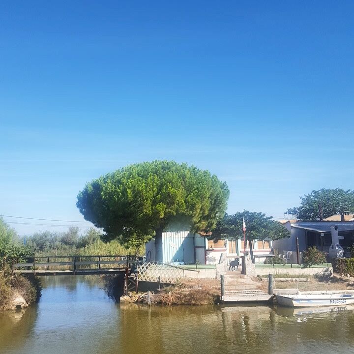 Camargue en croisière fuviale