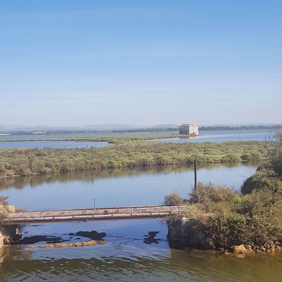 camargue 