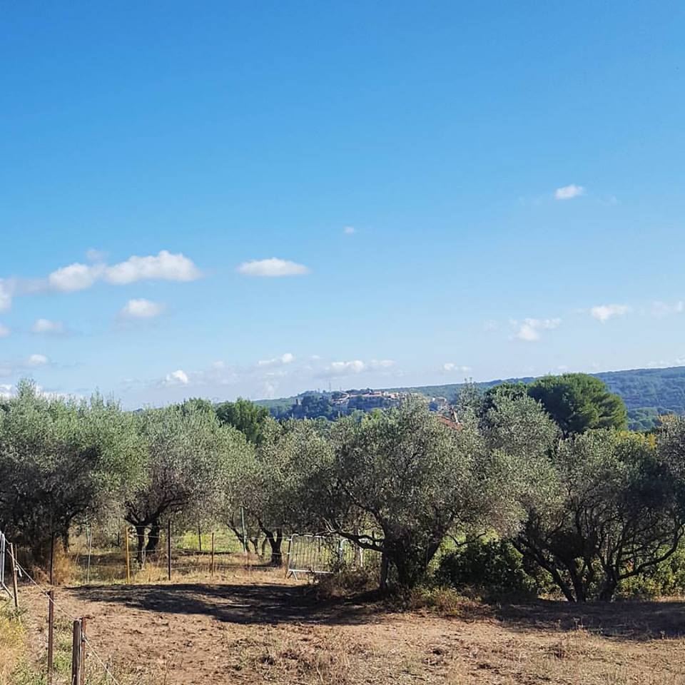 14691122_1802017200068114_3073523439301725973_n