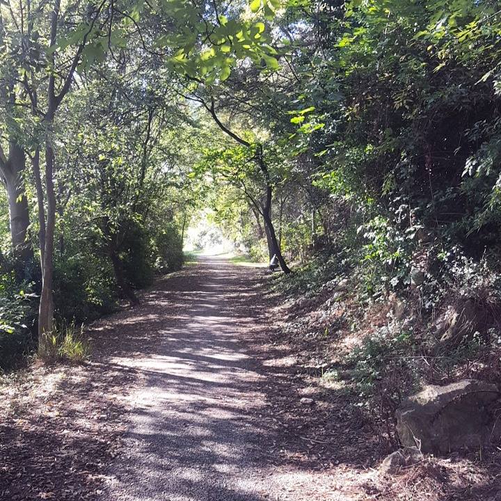 L'automne dans mon sud