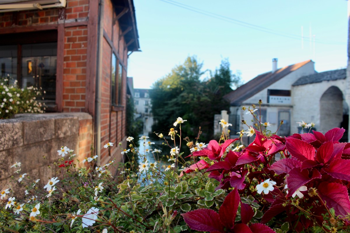 Chablis Bourgogne Yonne