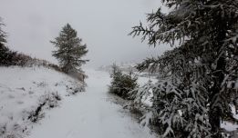 s5wsqffxxdsd69cjcczf_7bup4fnzdwiinevpedk8sc-d0i9gme7zn3fsllyulxr3azqsbf_uls-ufun7za8-y