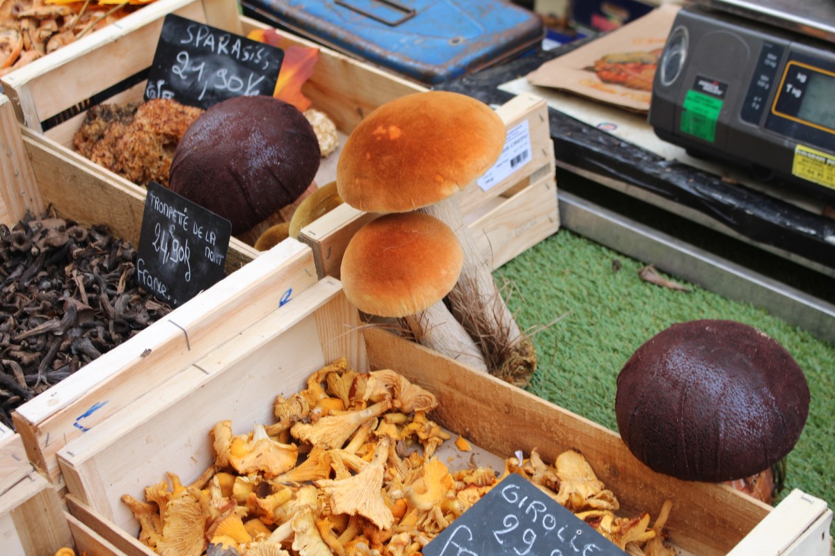 Marché de Romans sur isère 