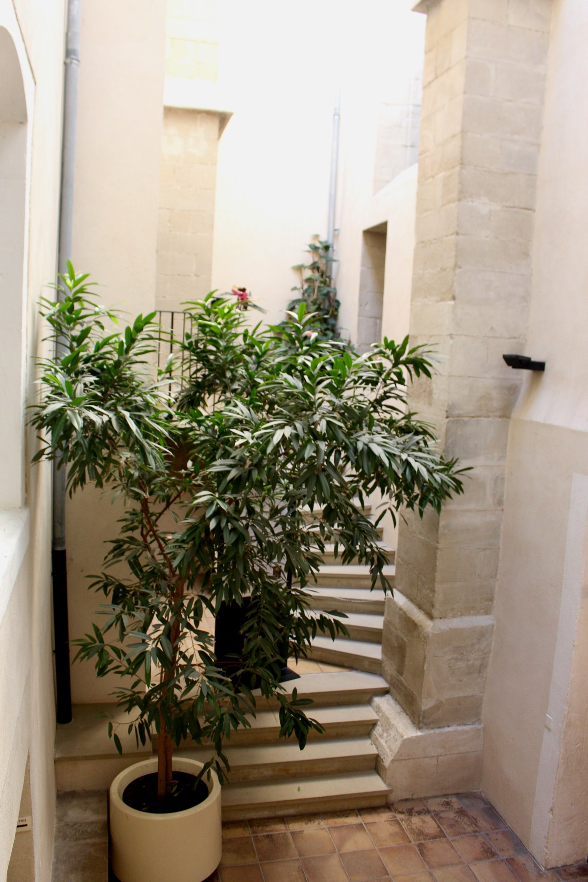 Musée international de la chaussure Romans sur Isère 