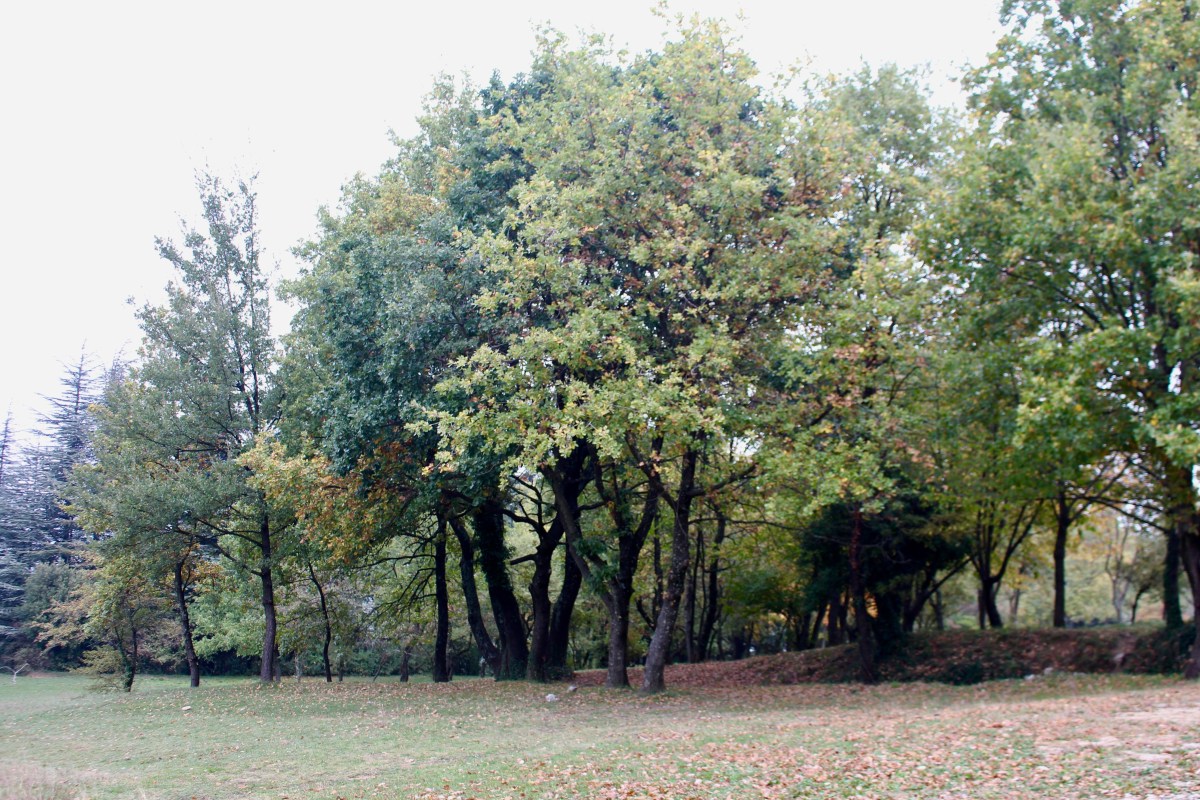 Chateau de Crussol / St Peray Ardèche