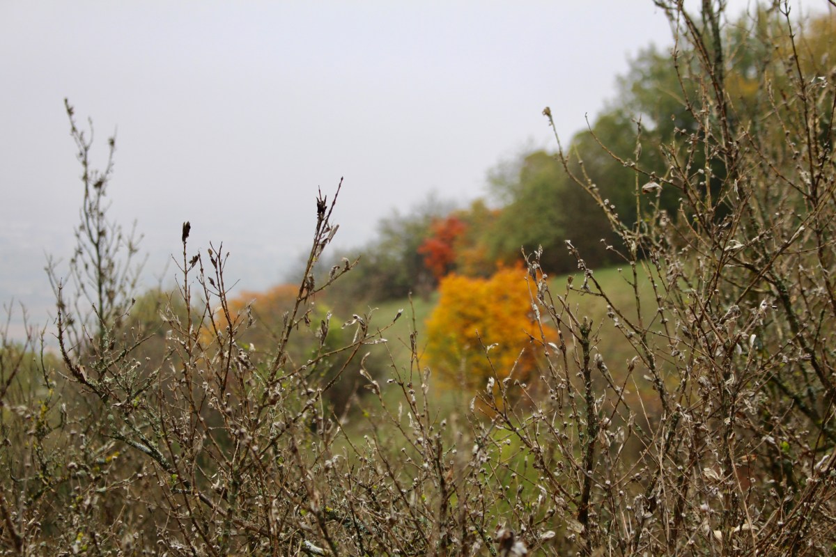 Chateau de Crussol / St Peray Ardèche