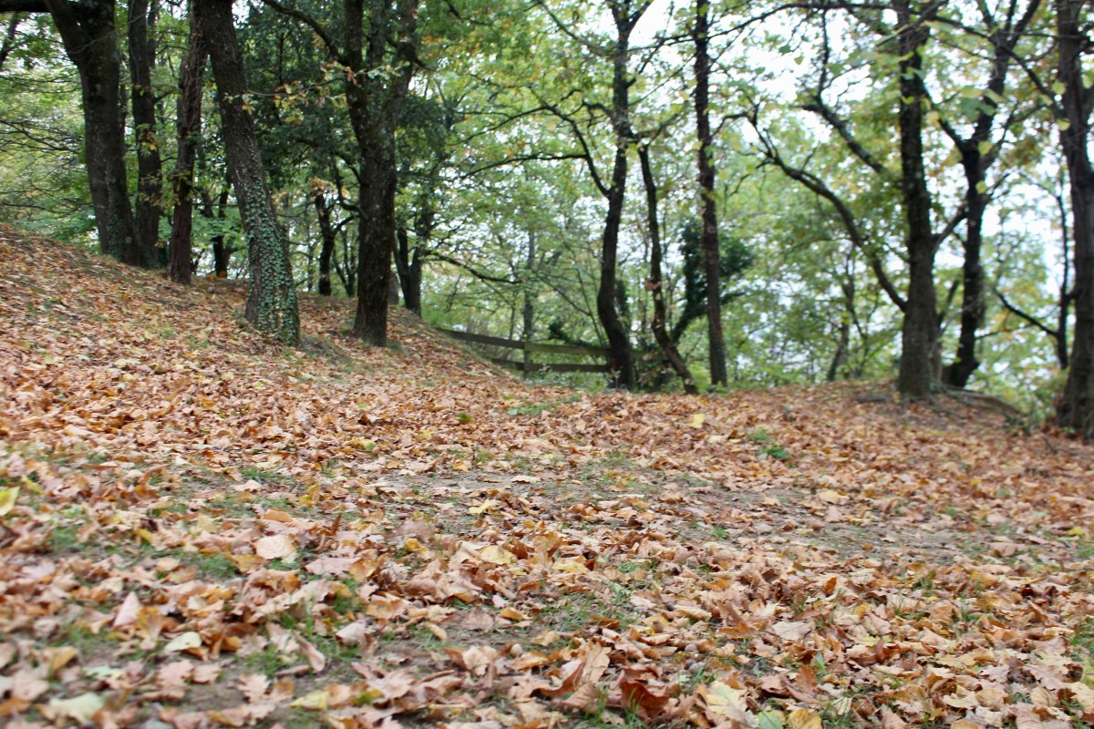 Chateau de Crussol / St Peray Ardèche