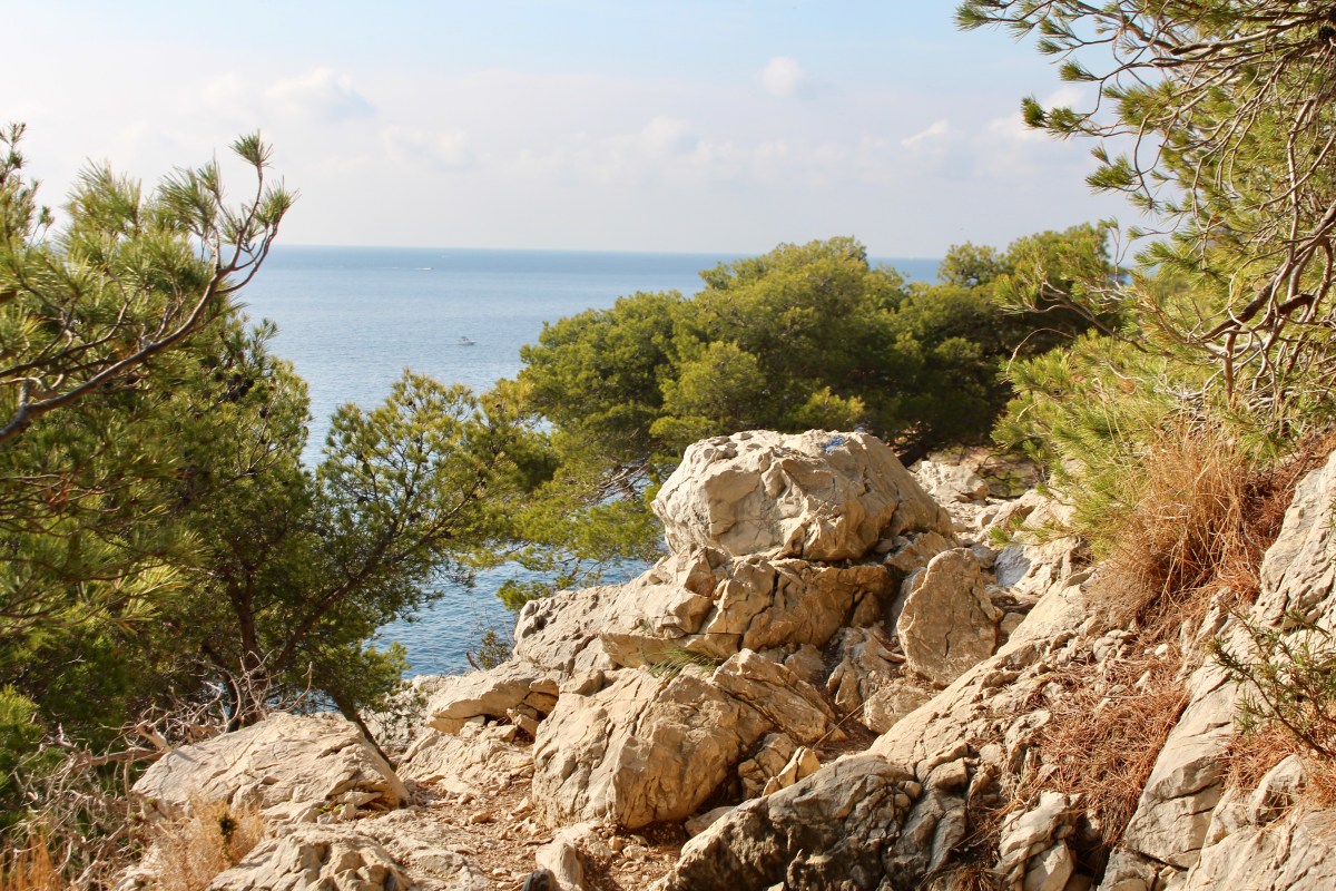 côte bleue sentier des douaniers