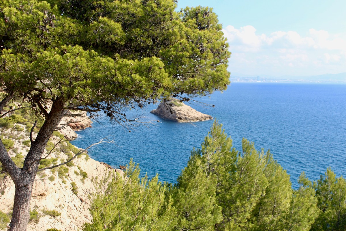 côte bleue sentier des douaniers
