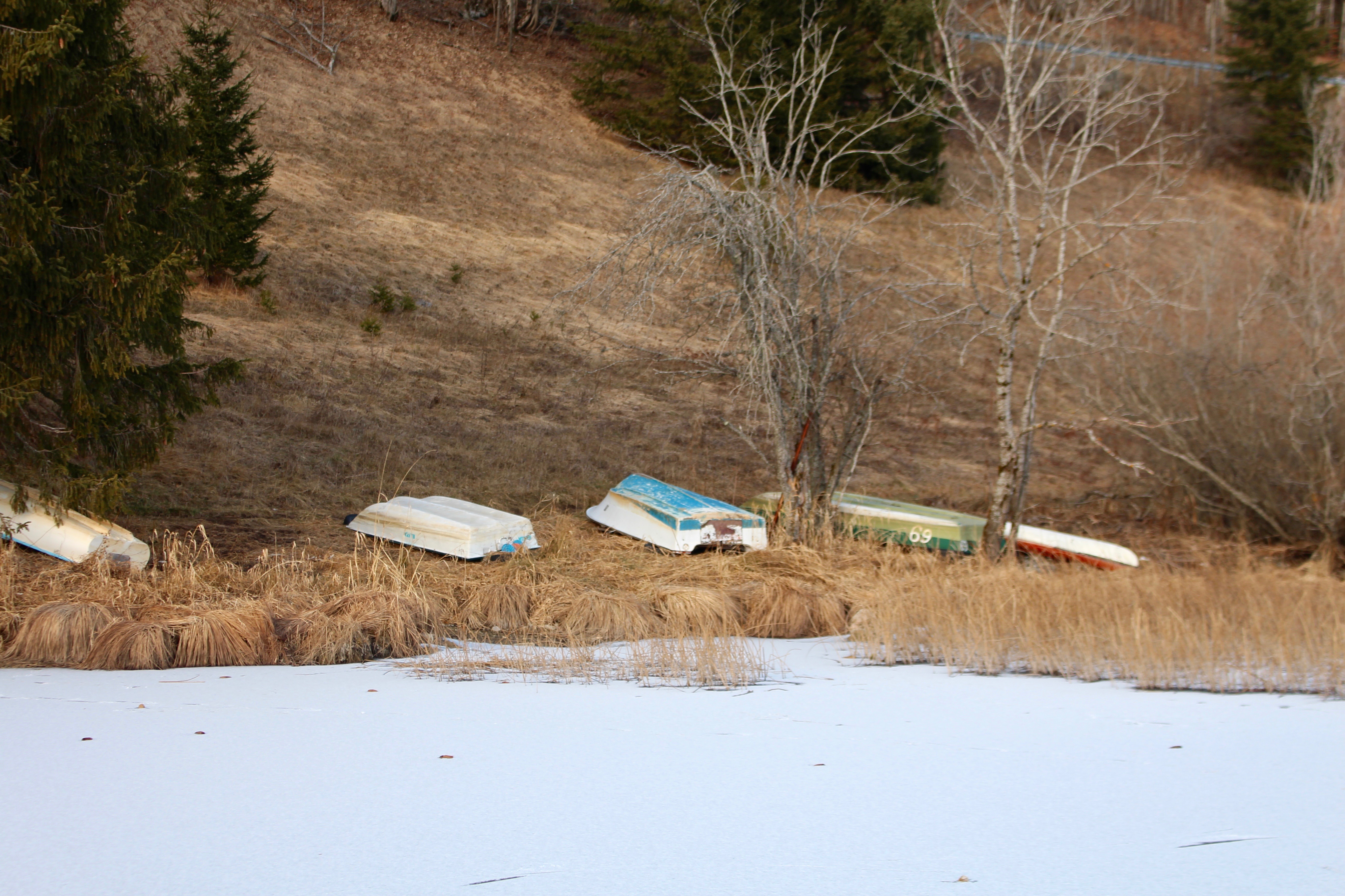 Jura / Lac des Rousses 