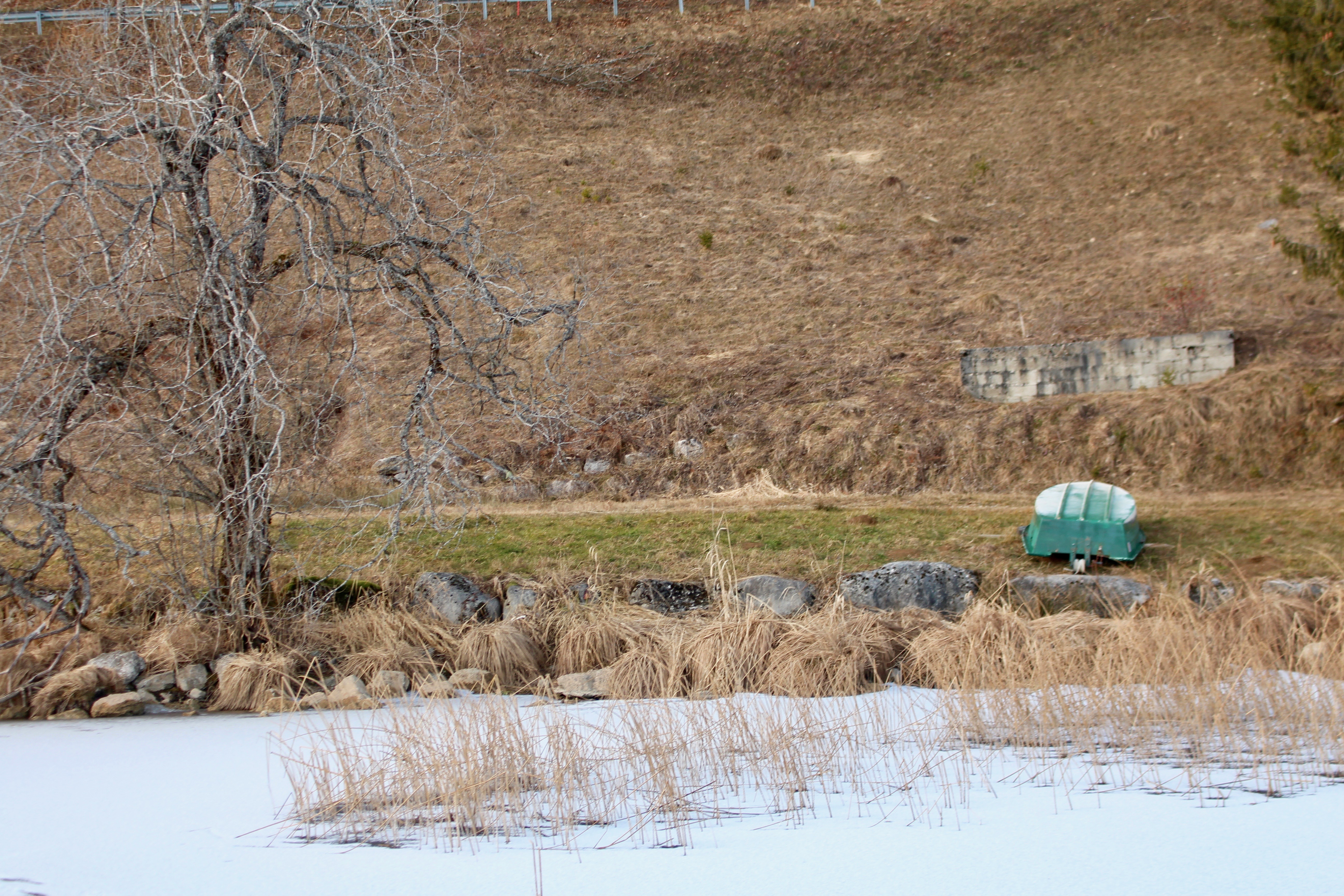 Jura / Lac des Rousses 