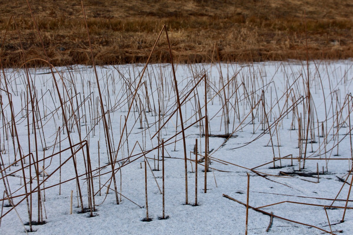 Lac des Rousses / Jura 