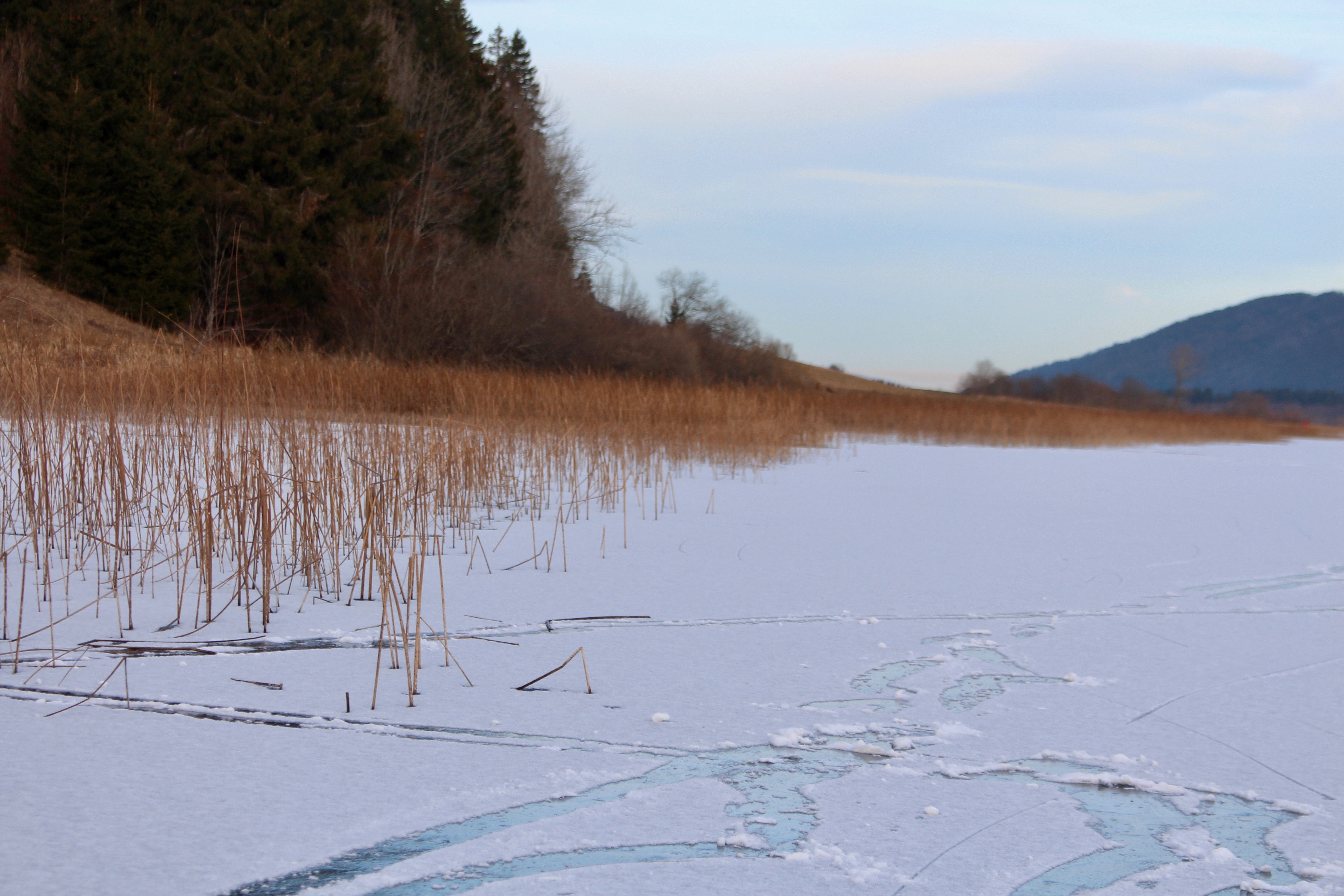 Lac des Rousses / Jura 