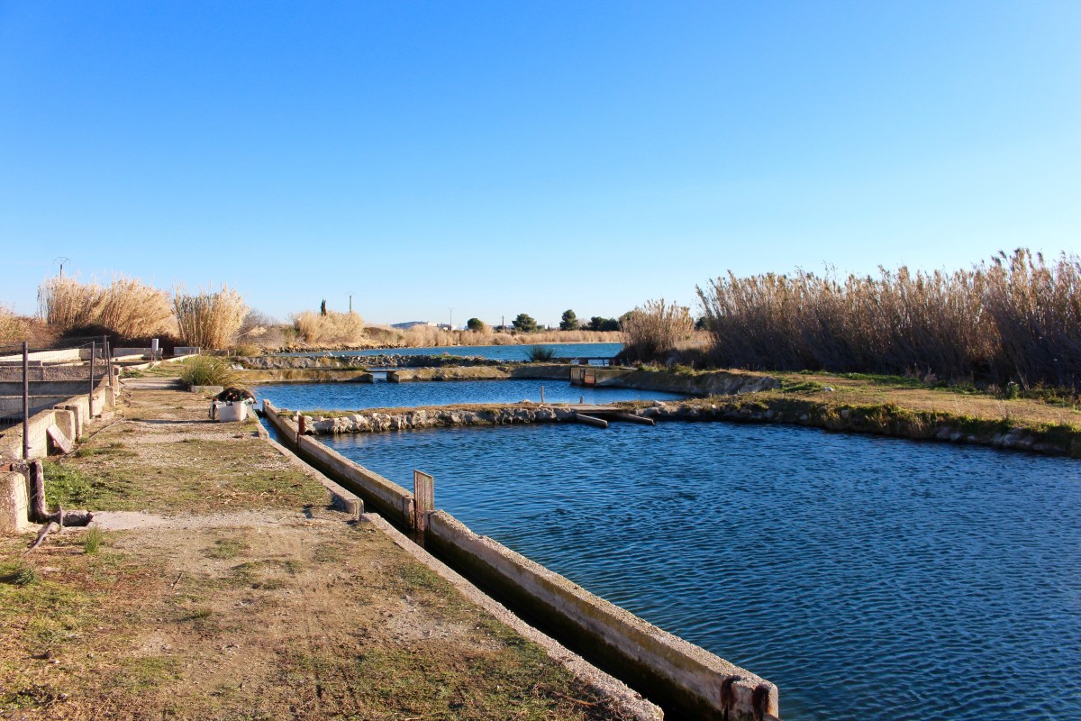 Etang de Berre 