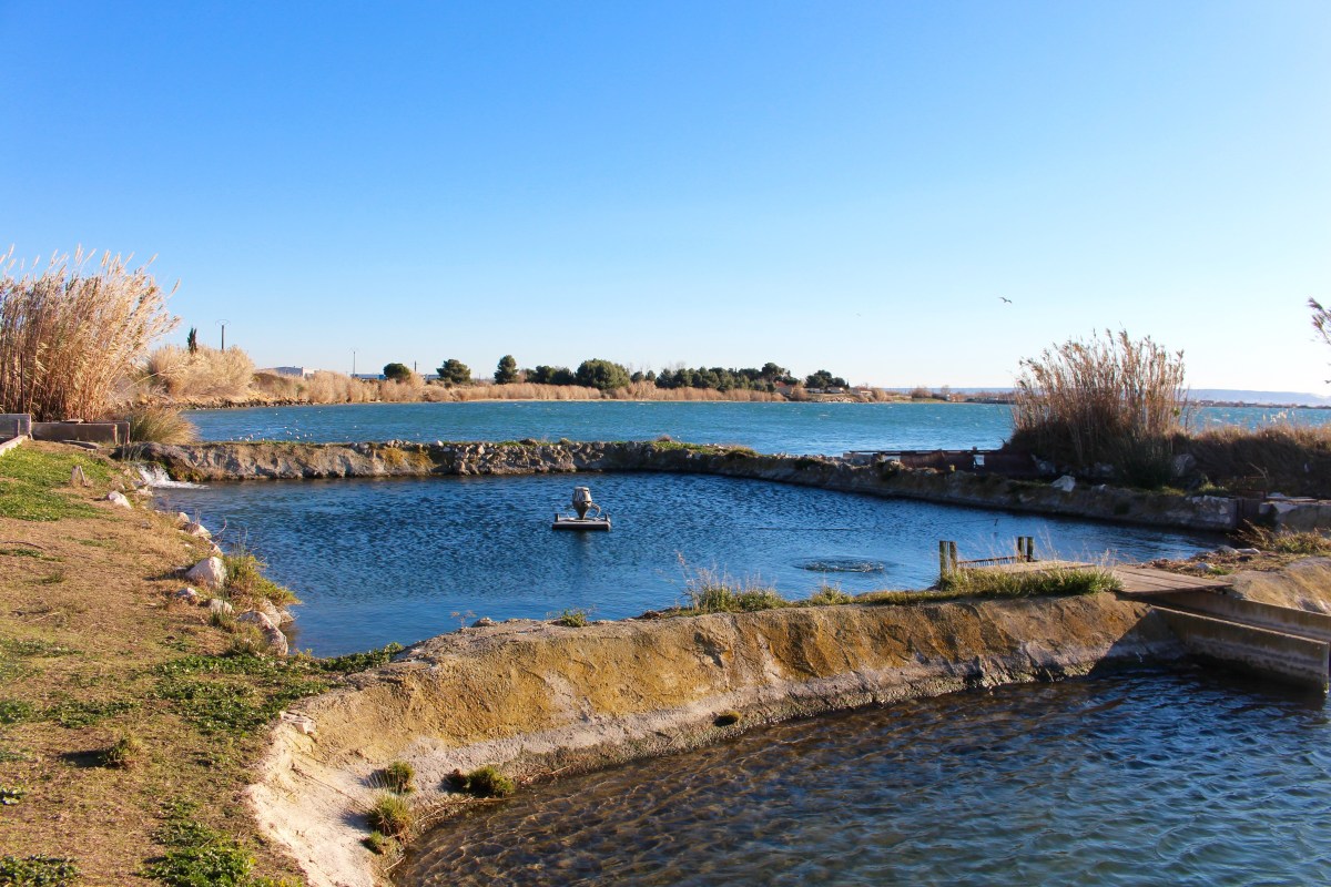 Etang de berre 
