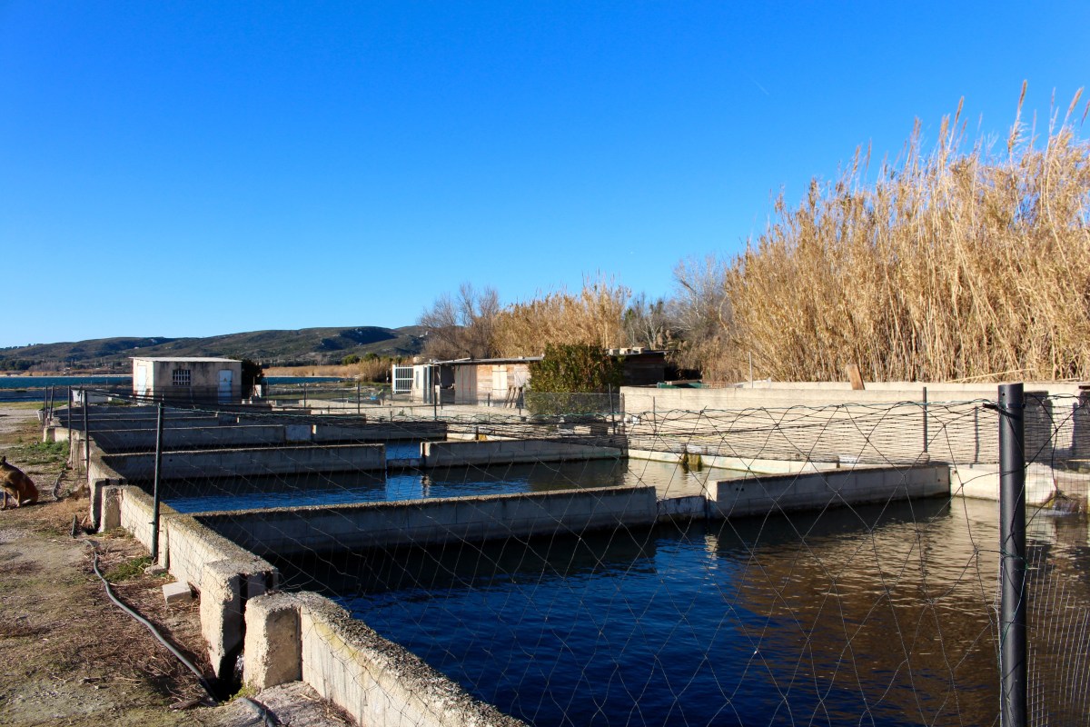 Etang de Berre 